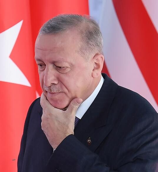 Erdogan Nyatakan Turki Siap Ikut Bangun IKN