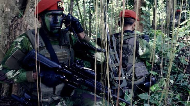Markas 'Diacak-acak' KKB Papua, CISS: SDM Tempur Kopassus Perlu Dievaluasi