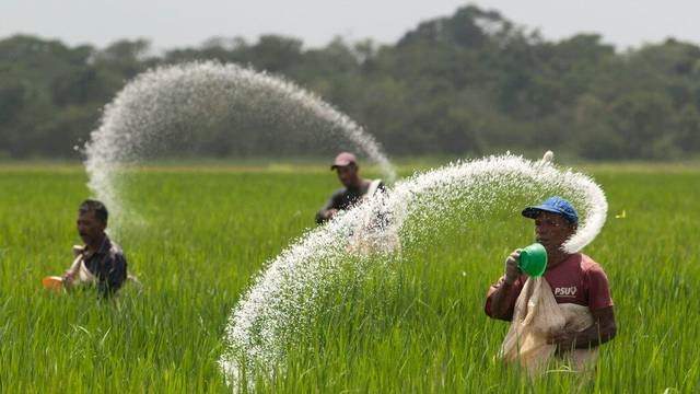 Subsidi Mobil Listrik Disorot Tajam Anies, Pengamat: Petani Miskin Massal, Lebih Butuh Subsidi Pupuk