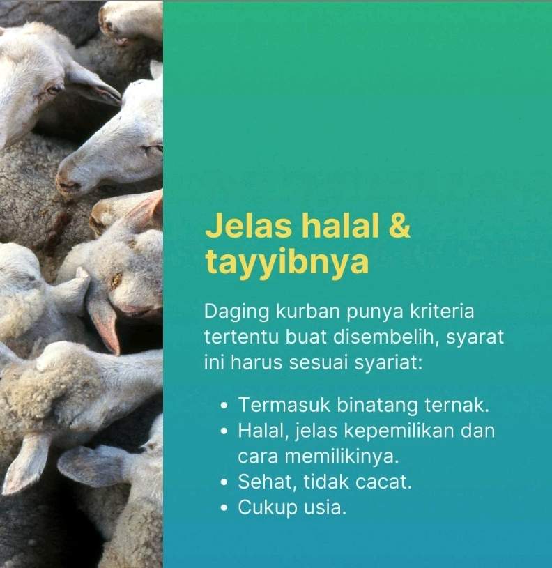 DAGING QURBAN AMAN UNTUK KANKER? INI JAWABANNYA !!