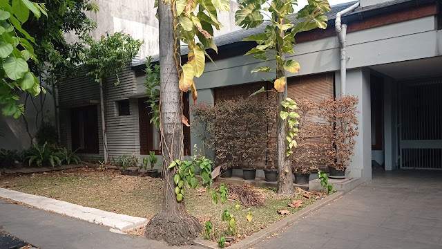 Firli Bahuri Punya Safe House di Kertanegara, Buat Novel Baswedan Terkejut