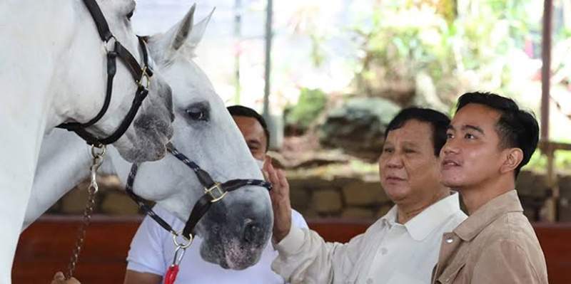 Bakal Elektabilitas Tergerus atau Prabowo Ditantang dengan Mengganti Gibran