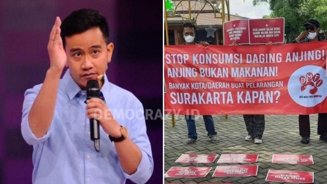 Gibran 'Shombong' Ngomong SGIE, Tapi Di Solo 13 Ribu/bulan Anjing Dijadikan Kuliner