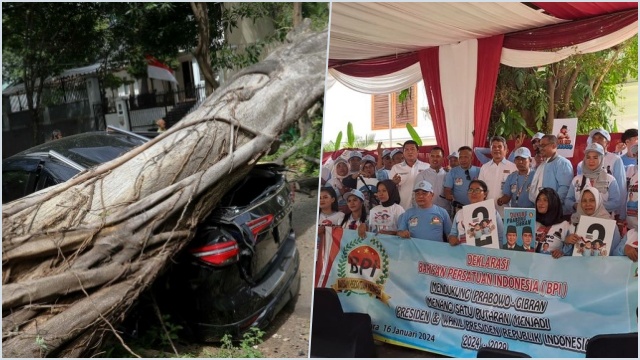 Saat Relawan Deklarasi, Pohon Besar Depan Rumah Prabowo Tumbang hingga Menimpa Mobil