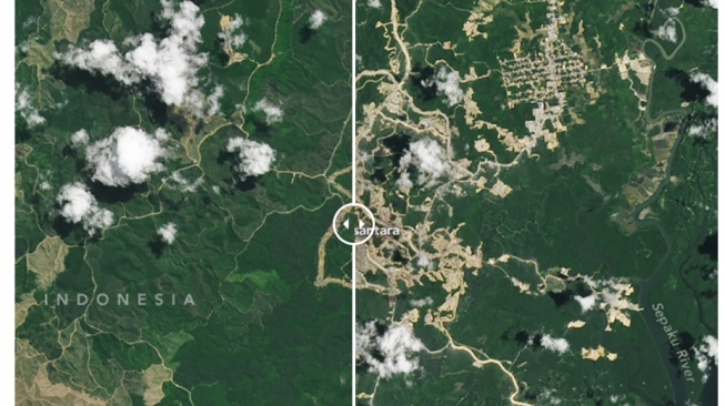 NASA Soroti Hutan Kalimantan "Sebelum" dan "Sesudah" Pembangunan IKN dari Satelit