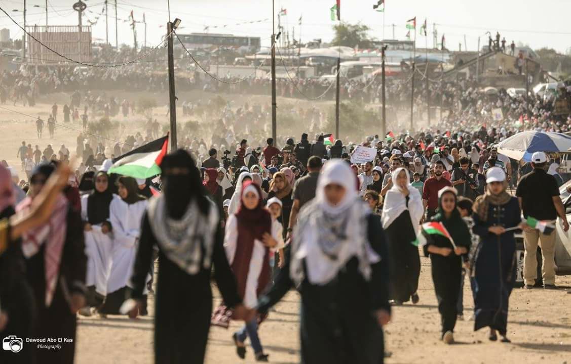 DK PBB Setujui Gencatan Senjata di Gaza, PKS: Sangat Terlambat