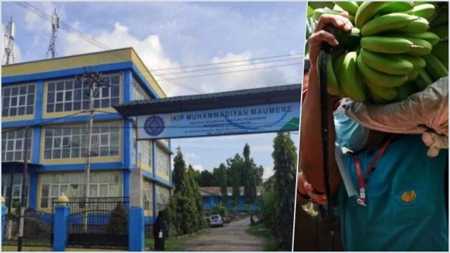 UKT Melonjak! Kampus Muhammadiyah di Flores Bolehkan Mahasiswa Bayar Pakai Pisang