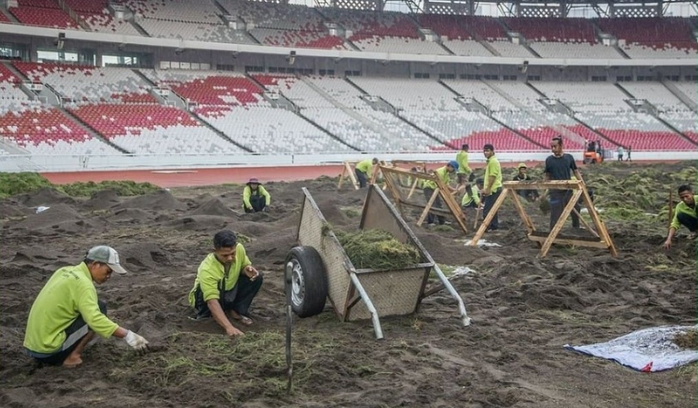 Viral Cara Tanam Rumput di Stadion GBK, Pengamat: Ini Bukan Sawah Pake Ditanam...