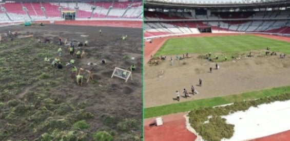 Warganet: Tanam Rumput di GBK, Pekerja dan Alat-alatnya Level Tarkam
