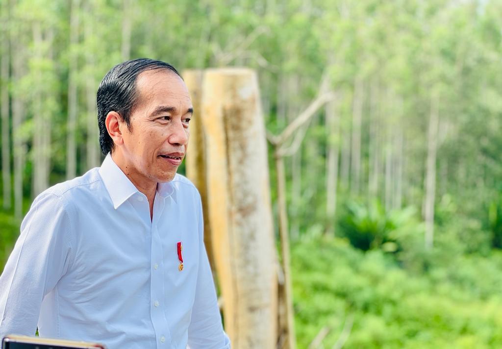 Istana: Rencana Tanggal 28 Juli, Jokowi Jadi Berkantor di IKN