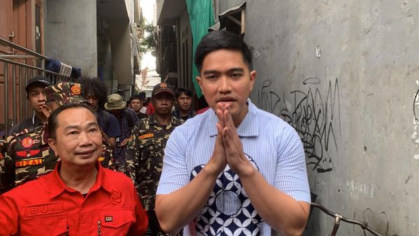 Elektabilitas Tinggi, Peluang Besar Untuk Kaesang Dianggap Menang di Jateng