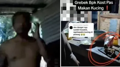 Heboh Bapak Kos Ini Terciduk Makan Daging Kucing, Alasannya untuk Obat Diabetes