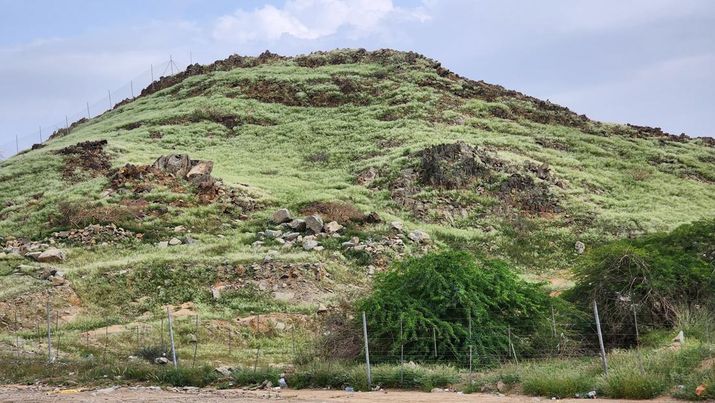 Arab Saudi Lakukan Proyek Penghijauan Besar-besaran di Madinah