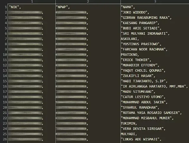 Hacker Bjorka Muncul Lagi, Kini Soroti Data DJP, NPWP Jokowi, Gibran, Kaesang, hingga Sri Mulyani