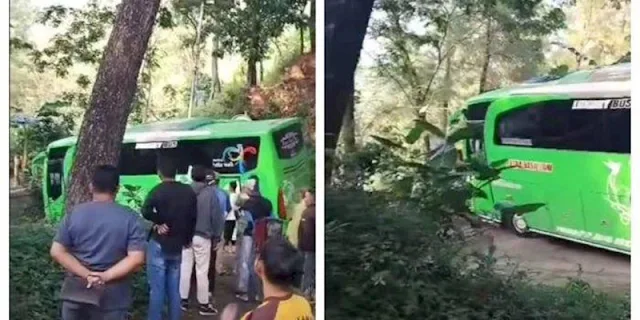 Ikuti Google Map, Bus Pariwisata Nyasar ke Hutan