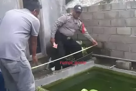 Innalillahi, 2 Balita Kembar Tewas Tercebur ke Kolam Ikan di Nganjuk