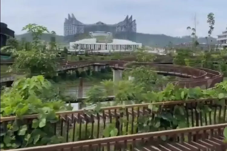 IKN Diserbu Tikus, Wisatawan Kejar-kejaran, Otorita Turun Tangan Sebar Ratusan Perangkap