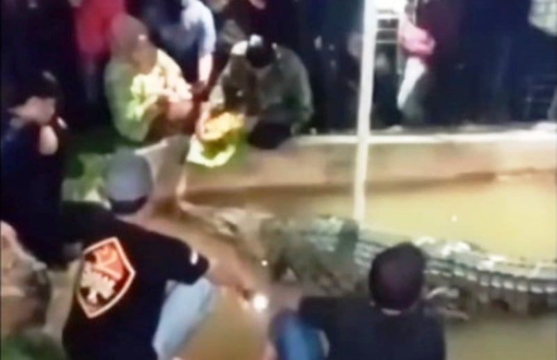 MUI Sampai Buka Suara gegara Mitos Buaya di Makassar yang Viral, Kutip Surah At-Tin Ayat 4