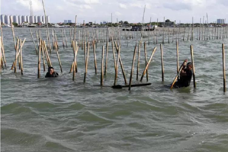Dalang Pagar Laut di Tangerang Belum Terungkap, 21.000 Warga Terdampak