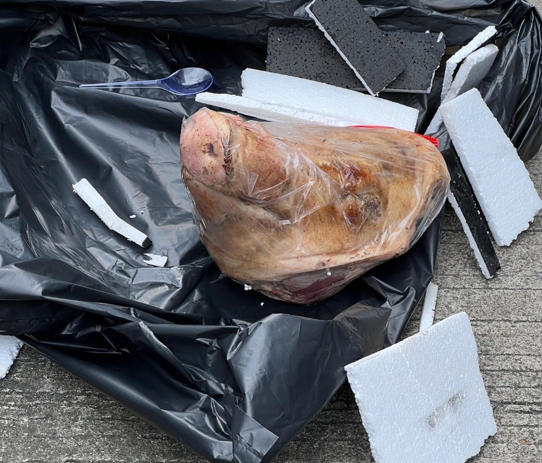 Komentar Hasan Nasbi soal Teror Kepala Babi Bikin Susi Pudjiastuti Geram: Dia Harus Berhenti Mewakili Pemerintah