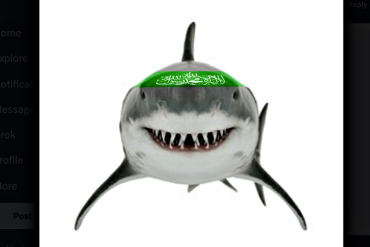 Setelah Lynx, Kini Ikan Hiu Serang Penjajah Israel Hingga Mati