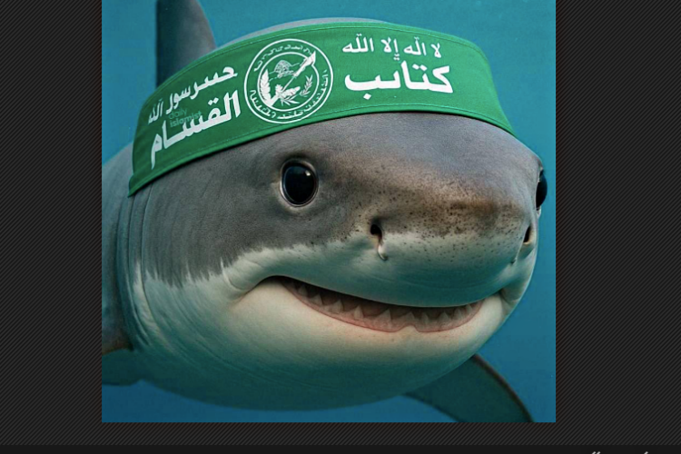 Update: Yang Diserang Hiu Sampai Mati Ternyata Tentara Israel!