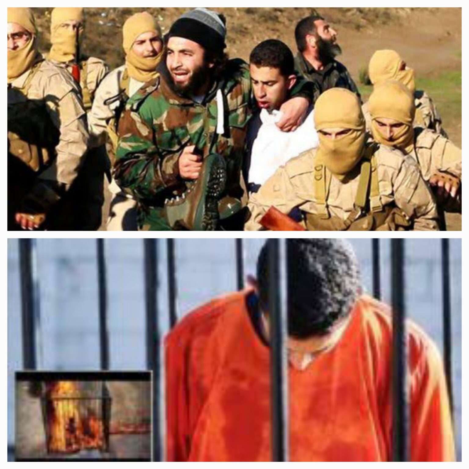 Swedia Adili Anggota ISIS Terkait Kasus Pembakaran Pilot Yordania