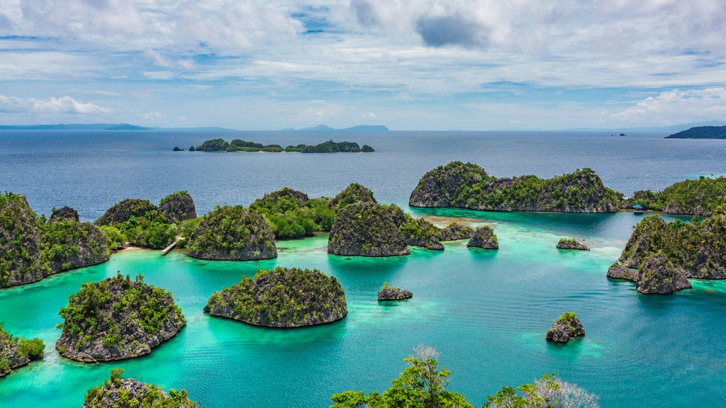 Kenapa Save Raja Ampat Viral dan Bagaimana Kondisi Terkini?