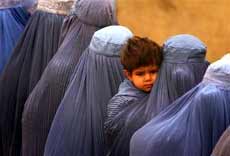 Setelah Larang Film Bollywood, Parlemen Afghan Bahas RUU Anti-Ikhtilat