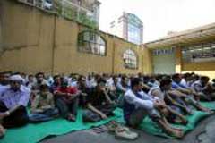 Tokoh Anti-Islam di Italia Bawa Babi Keliling Lokasi Pembangunan Masjid
