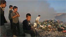 Warga Palestina di Tepi Barat, Mengais Sampah Demi Bertahan Hidup