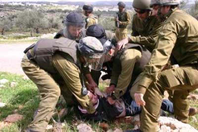 Tentara Israel Culik Warga Palestina dan Aktifis Internasional