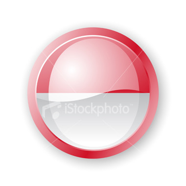 2008: Bukan 100 Tahun Kebangkitan Nasional