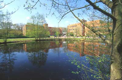 Studi di Oldenburg (2)