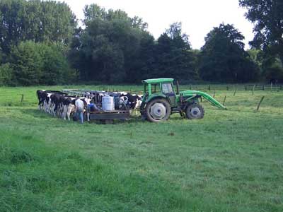 Studi di Oldenburg (1)