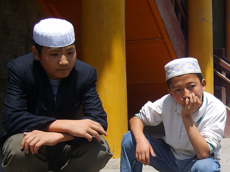 Gara-Gara Daging Babi 