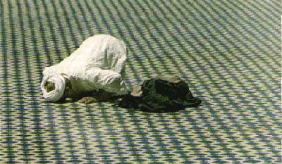 Sulaiman Castro: Karena Islam Mengajarkan Kasih Sayang untuk Seluruh Umat Manusia