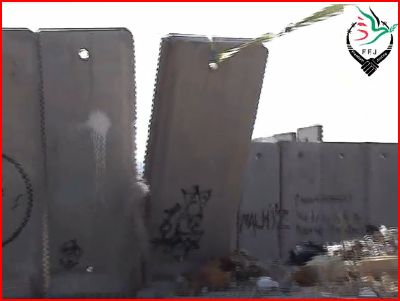 Warga Bil'in Berhasil Robohkan Tembok Apartheid Israel 