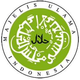 MUI Kaltim: Waspadai Kuas dari Bulu Babi