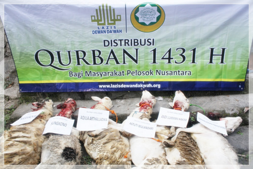 Qurban All in One Lipatgandakan Kemaslahatan Kurban