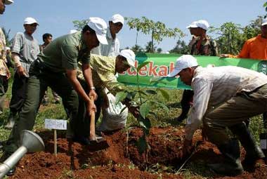 Sedekah Pohon: Arus Baru Gerakan Penghijauan Berbasis Umat