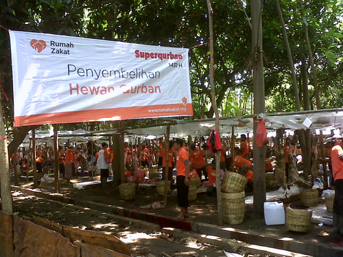 Rumah Zakat Salurkan Qurban di 11 Desa