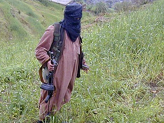 Perusahaan Hosting di AS Dijadikan Tempat Hosting Situs Taliban