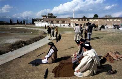 Taliban Umumkan Gencatan Senjata di Swat