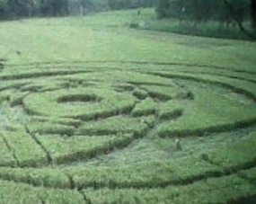 Pola Aneh Seperti UFO di Sleman Pengalihan Isu Mafia Pajak Gayus?