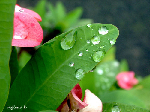 Perjalanan Panjang Menuju Islam, Seorang Muslim Amerika