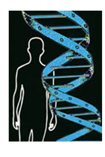 Tanda-tanda Kekuasaan Allah pada DNA