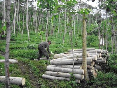 Mencetak Dinar di Tengah Krisis (1)