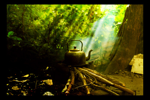 Pemimpin dengan Kejujuran Cinta