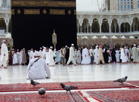 Tak Harus Buru Fadhoil, Jamaah Haji Harus Hemat Tenaga Untuk Armina